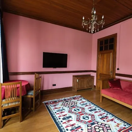 Beyoglu'nun Kalbinde Yueksek Tavanli 아파트